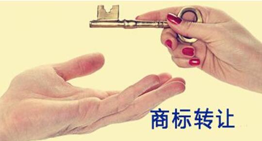 轉(zhuǎn)讓商標平臺能為用戶提供哪些服務(wù)